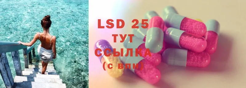 Лсд 25 экстази ecstasy  Шагонар 